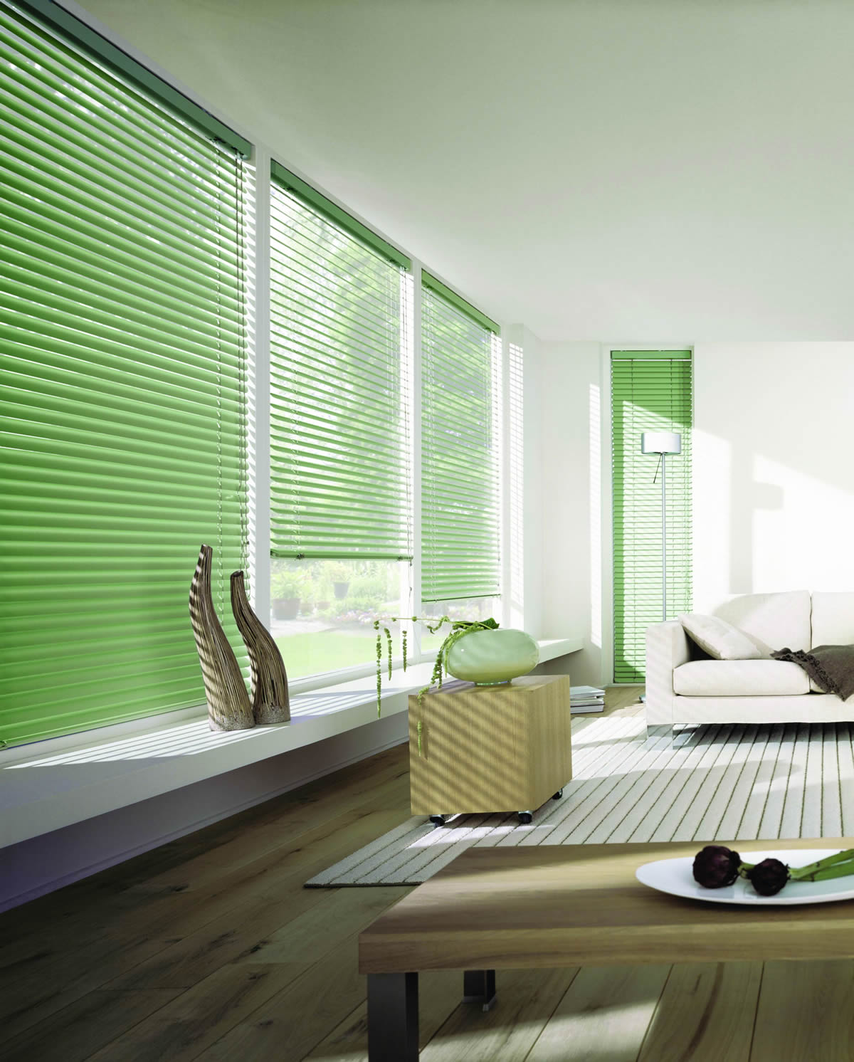 Horizontal Venetian Blinds
