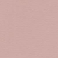 Premium Tea Rose image